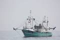 k-Gerold Conradi 02-08-2014 039.JPG