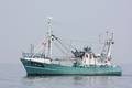 k-Gerold Conradi 02-08-2014 045.JPG