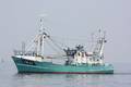 k-Gerold Conradi 02-08-2014 046.JPG