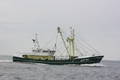 1-Niederlande FP/Urk FP/UK 61 FP