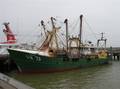 1-Niederlande FP/Urk FP/UK 73