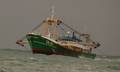 1-Niederlande FP/Urk FP/UK 87 FP