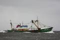 k-Gerold Conradi 04.05.2010 006.jpg