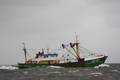 k-Gerold Conradi 04.05.2010 008.jpg