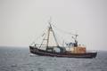 1-Niederlande FP/Urk FP/UK 92