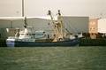 1-Niederlande FP/Urk FP/UK 95 FP