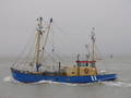 Henk Perdok 6-6-11 (3).JPG