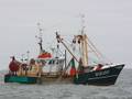 k-Gerold Conradi 18.03.2012 022.jpg