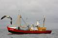 k-Gerold Conradi 02-08-2014 093.JPG
