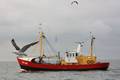 k-Gerold Conradi 02-08-2014 094.JPG
