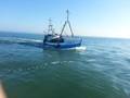 1-Ostsee/SB Burgstaaken/SB 12