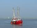 k-Mathias Kock Bremerhaven 30.06.2009.jpg