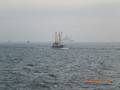 k-CIMG2111.JPG