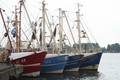 k-bremerhaven_300609 081.jpg