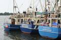 k-bremerhaven_300609 084.jpg