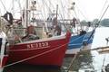 k-bremerhaven_300609 095.jpg