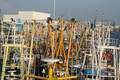 k-bremerhaven_300609 111.jpg