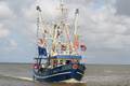 k-korso_acc-110709 030.jpg