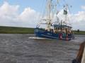 k-korso_2009_ilka 035.jpg
