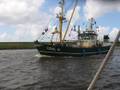 k-korso_2009_ilka 037.jpg