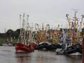 k-Gerold Conradi 01.08.2010 018.jpg